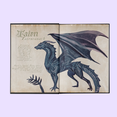 Fourth Wing and Iron Flame