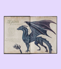 Fourth Wing and Iron Flame bundle