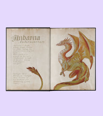 Fourth Wing and Iron Flame bundle