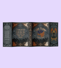 Fourth Wing and Iron Flame bundle